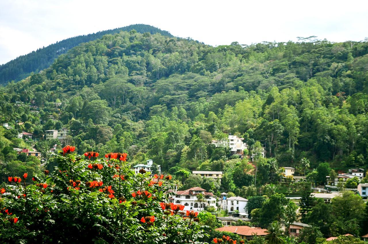 Villa Nine Kandy Kültér fotó